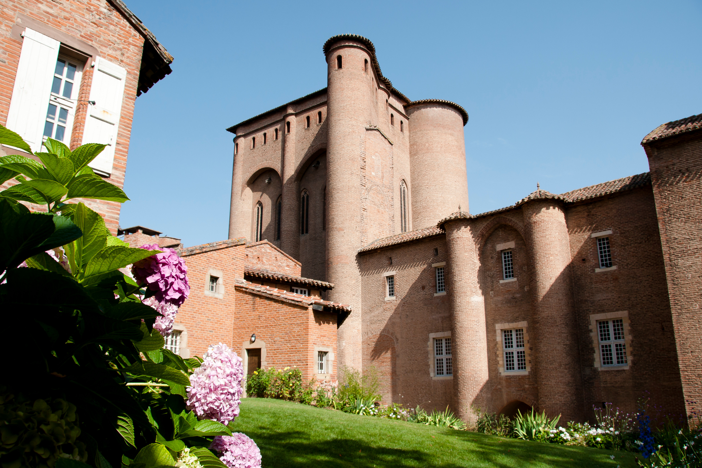 albi (2).webp